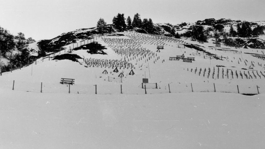 Versuchsgelände mit unterschiedlichen Schutzbauten: Hier wurden Bauformen, Abstände und Wirkungen systematisch getestet. Foto: Archiv SLF