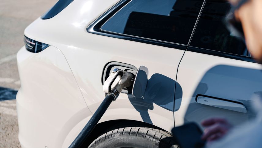 Foto: shutterstock.com/FabrikaSimf