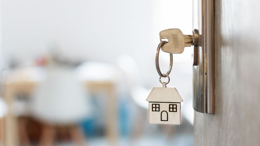 Foto: www.shutterstock.com/Inna Dodor