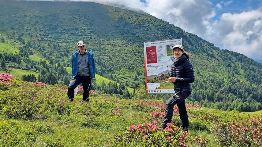 Manuel Schneider e Caren Pauler dad Agroscope han declerà sün l’Alp dil Plaun – immez las «plantas problematicas» grusaidas – co impedir cha la pas-chüra crescha aint. fotografia: mad 