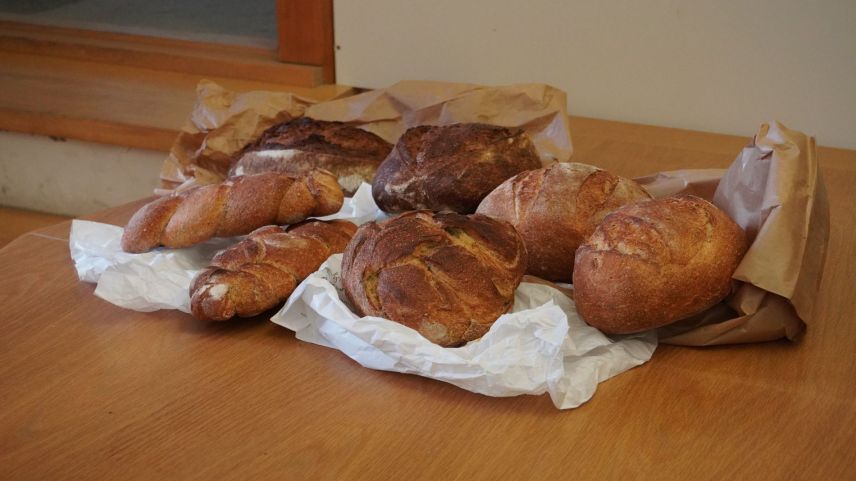 Im Zentrum der Konferenz standen die traditionellen Praktiken rund um den Anbau von Roggen und Buchweizen. Foto: Valposchiavo Turismo
