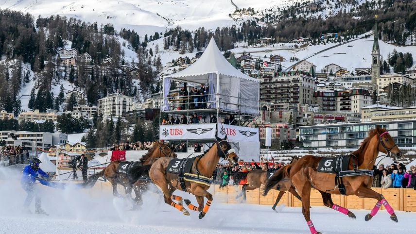 Bei sieben Pferden kam beim Skikjöring nur ein Reiter ins Ziel. Foto: fotoswiss.com/giancarlo cattaneo 