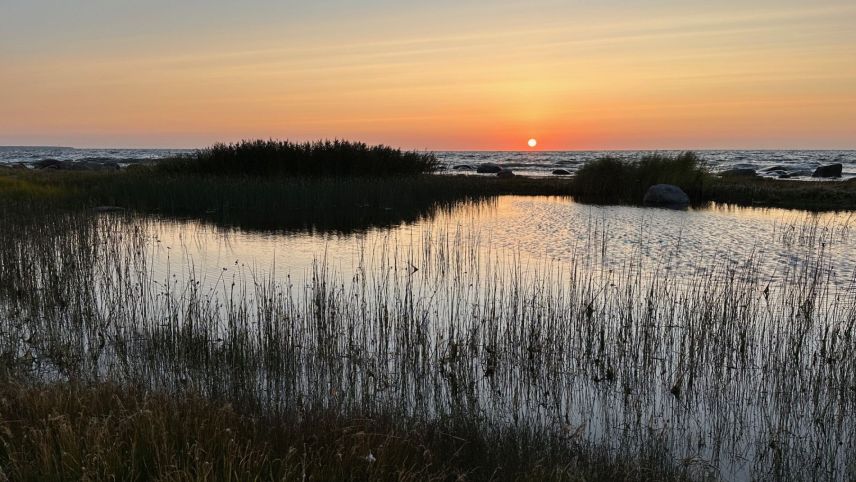 Im Lahemaa-Nationalpark in Estland. Foto: Daniel Müller