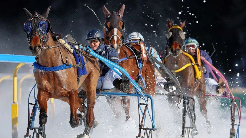 Die Traber standen im Mittelpunkt des zweiten Rennsonntages anlässlich von White Turf. Foto: www.swiss-image.ch/Andy Mettler