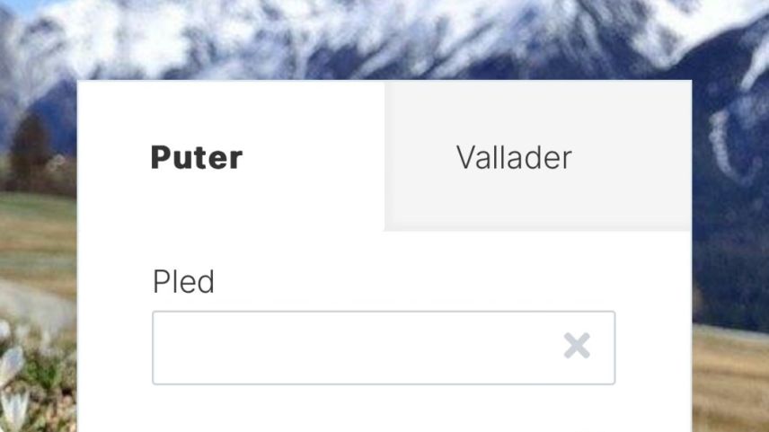 Tuot in üna vouta do que quatter dicziunaris ladins online – quels da Gion Tscharner ed ils oters da l’Uniun dals Grischs (fotografia: mad)