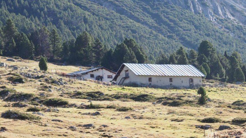 L’Alp Sprella illa Val Mora es ün dals ultims lös in Svizra cun üna natüra intacta fotografia: David Truttmann