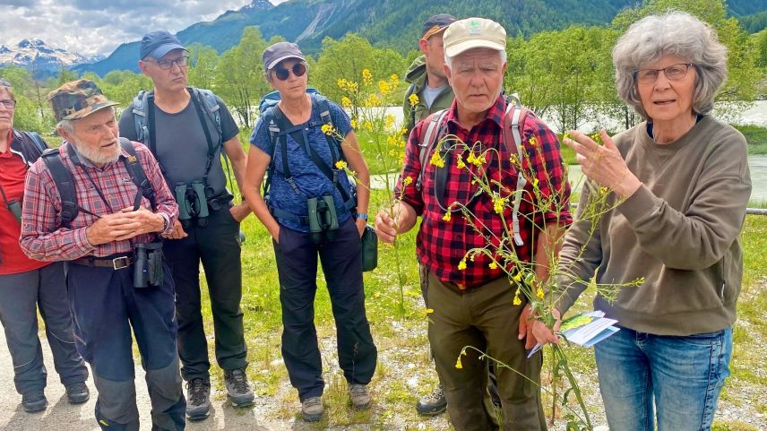 Ralf Fluor und Angelika Abderhalden erklären die Unterscheidungsmerkmale zwischen dem invasiven Orientalischen Zackenschötchen und der einheimischen, sehr ähnlich aussehenden Winterkresse. Fotos: David Jenny 