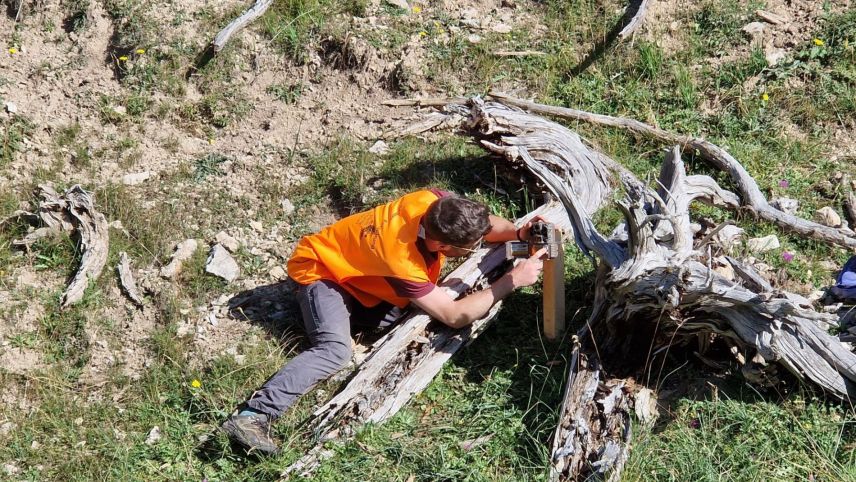 Insgesamt wurden neun solcher Kamerafallen über mehrere Wochen im Schweizerischen Nationalpark aufgestellt mit dem Ziel, zusammen mit KI neue Datensätze zu liefern. Foto: Hans Lozza