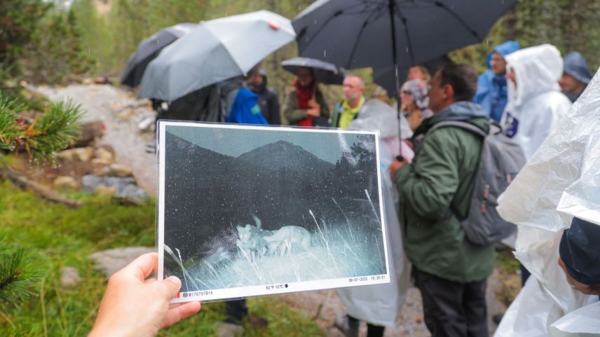 Rund 30 Fachpersonen aus vier europäischen Ländern erhielten am Mittwoch theoretische und praktische Einblicke in die Wirkweise des Schweizerischen Nationalparks. Fotos: SNP/Fadri Wehrli