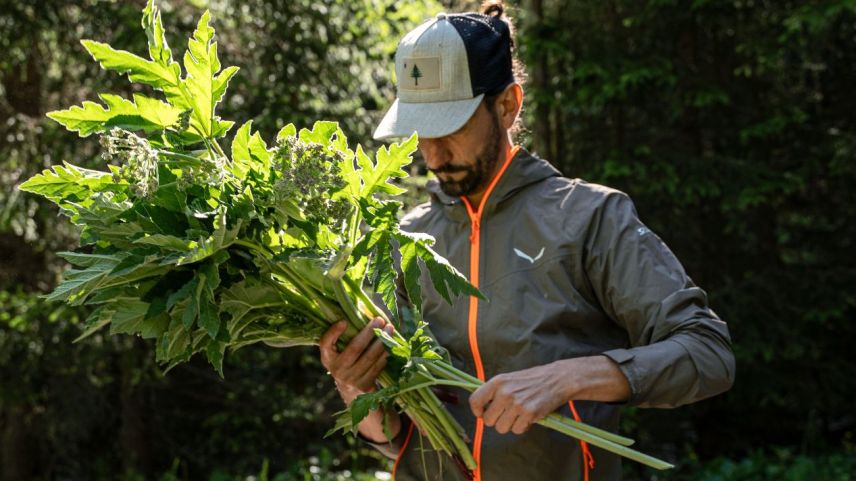 Gefunden hat Paolo Casanova die wilden Zutaten in der Engadiner Natur. 