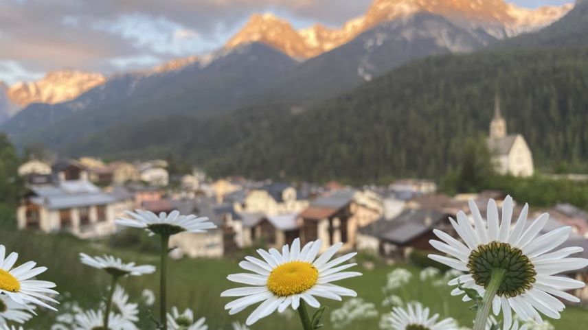 Wunderschöne Momente können einfach und unkompliziert online mit der Leserschaft der EP/PL geteilt werden (Foto: Nicolo Bass).