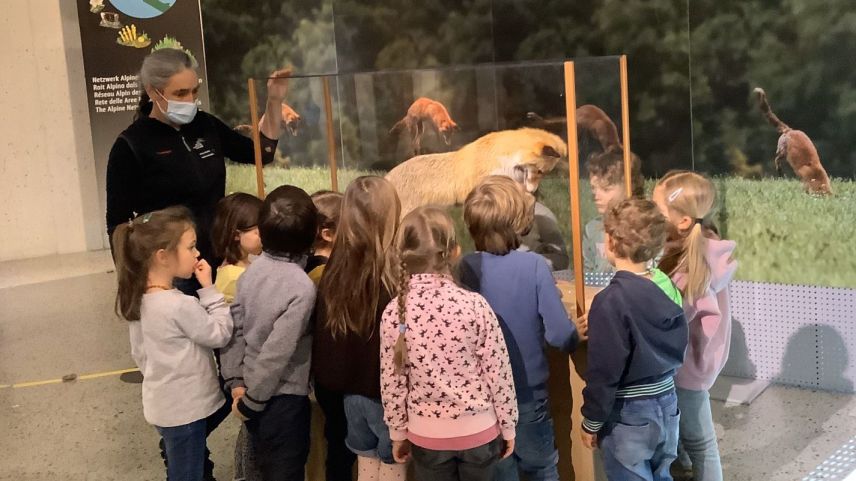 Anna Mathis, dal Parc Naziunal Svizzer, declera als scolarins d’Ardez sco cha la vuolp va a chatscha (fotografia: mad).