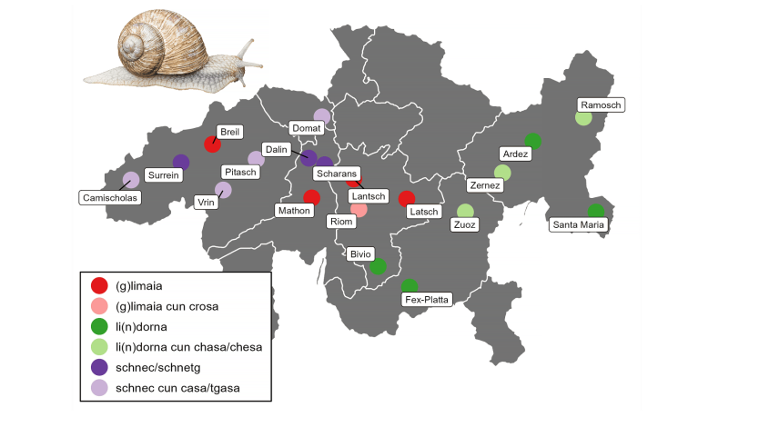 L’illustraziun muossa ün exaimpel d’üna charta linguistica chi’s chatta tipicamaing in atlas linguistics. illustraziun: mad