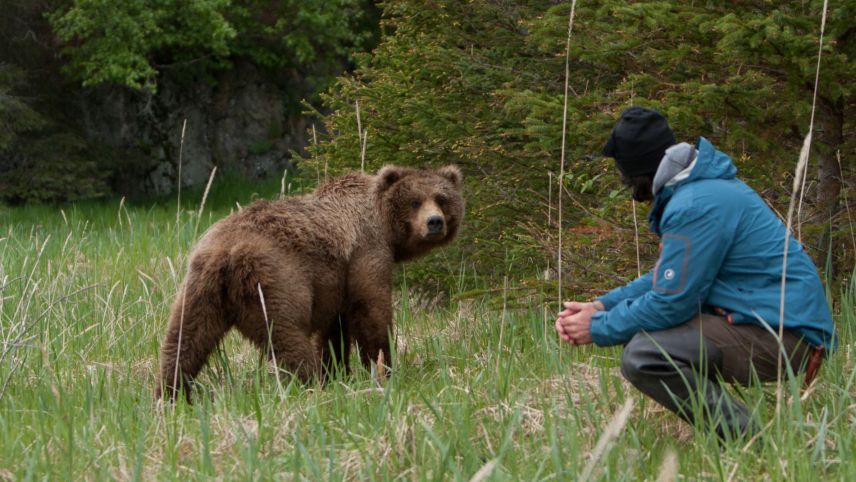 Für den Bärenexperten gehören entspannte und nahe Begegnungen mit Bären und Bärenfamilien seit fast vier Jahrzehnten praktisch zum Alltag. Beide Bärenbilder wurden in Alaska aufgenommen.  Fotos: Beatrice Feiner/Reno Sommerhalder