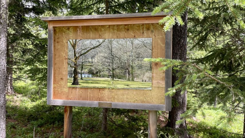 Der Central Park im Engadiner Wald. Foto: Fadrina Hofmann