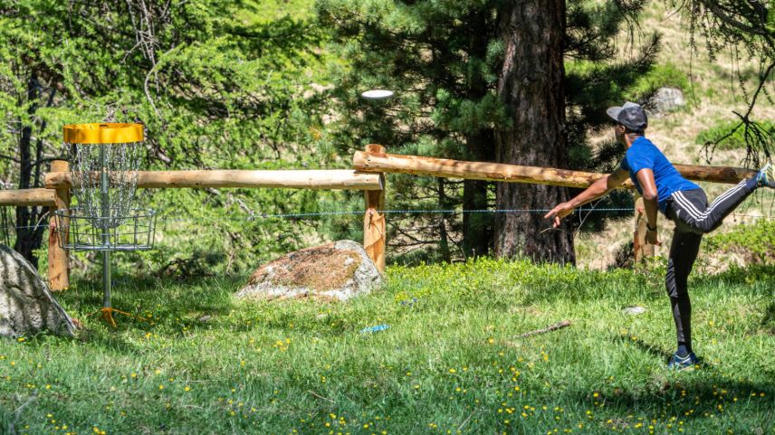 Disc Golf: Mit Scheiben statt Bällen und Körben statt Löchern.   Foto: Daniel Zaugg