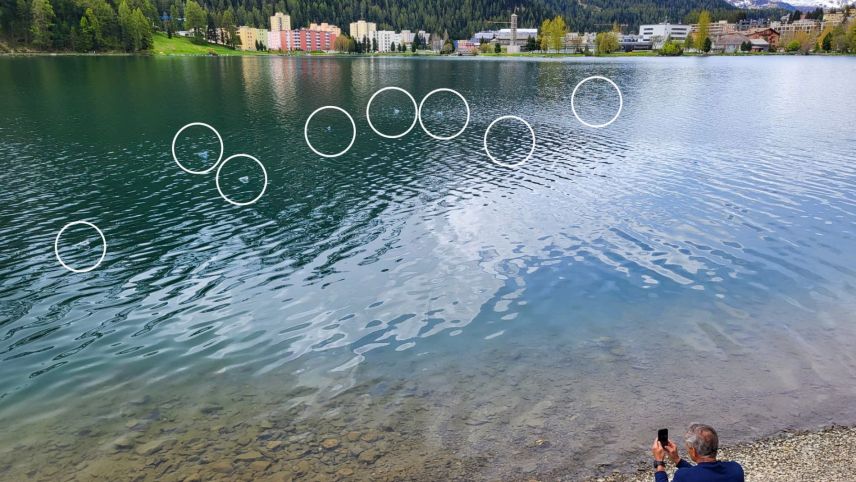 An Schnüren befestigte PET-Flaschen markierten während der zehntägigen Untersuchung die Position der ausgewählten Bäume am Seegrund.