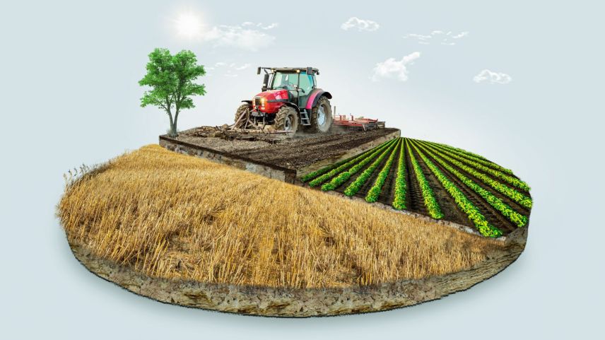 Die «Effektive Mikroorganismen», EM, sorgen für einen gesunden Kreislauf in der Landwirtschaft.         Foto: Shutterstock/Reef-Media