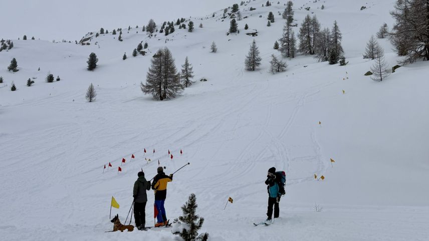 Impressionen von der Lawinenhunde Schweizermeisterschaft 2025. Foto: Fadrina Hofmann
