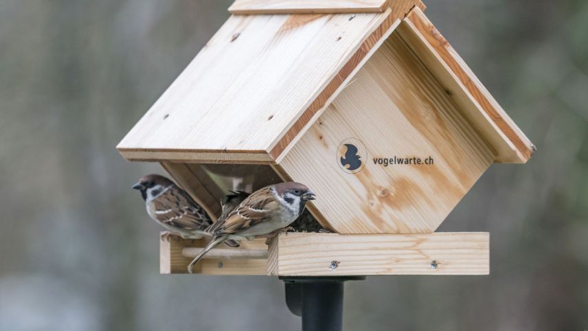 Foto: Marcel Burkhardt