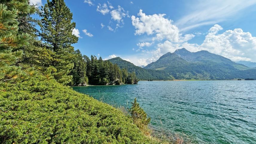 Il Lej da Segl spordscha numerus bels lös per ir a fer il bagn (fotografia: Martin Camichel).