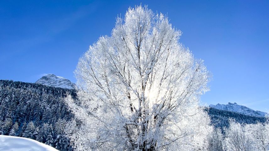 Foto: Dominik Täuber