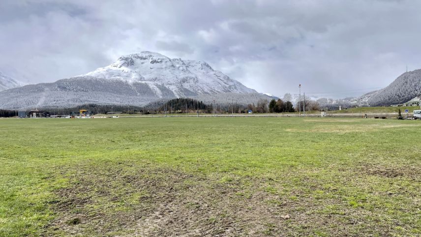 Illa planüra da Samedan nun esa creschü amo bler pavel (fotografia: Gian Peter Niggli).