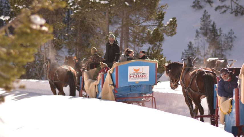 Seit sieben Jahren führt Jon Steivan Peer die «Schlittrada S-charl». Davor fuhr er zwölf Jahre lang für den Reitstall San Jon die Gäste in die ehemalige Bergbausiedlung (Foto: Marina Gachnang).