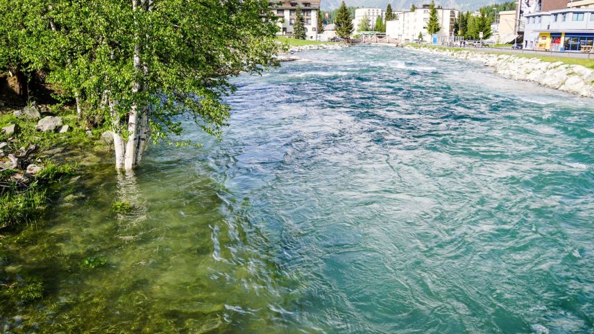 Foto: Jon Duschletta