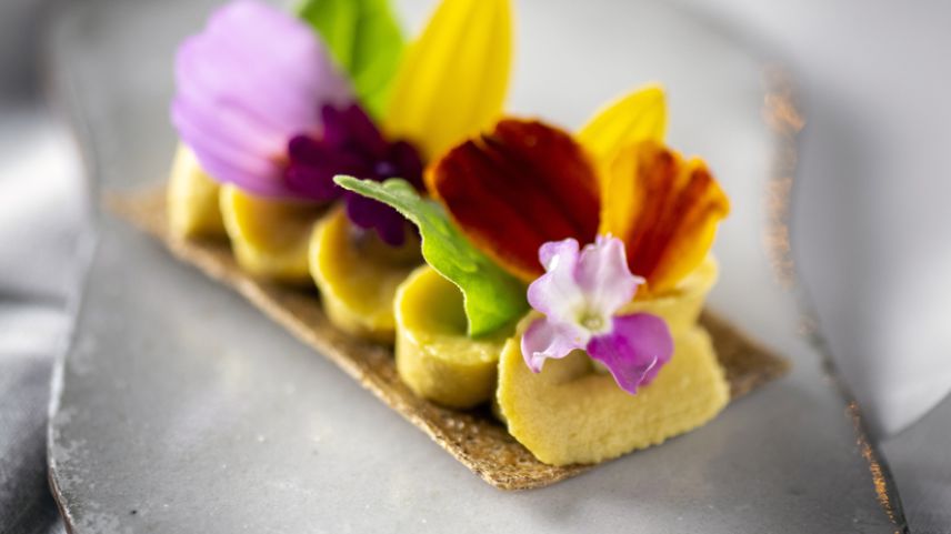 Hummus-Cracker. Foto: z.Vfg.