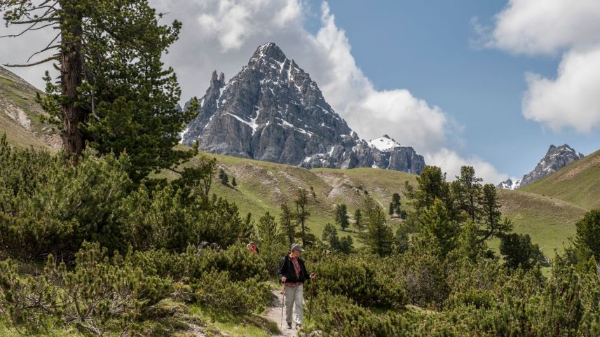 Plü pacas viandantas e viandants han visità dal 2024 il Parc Naziunal Svizzer. Pella paja han daplü persunas fat ün’excursiun guidada tras il parc e visità il center dal parc (fotografia: PNS).