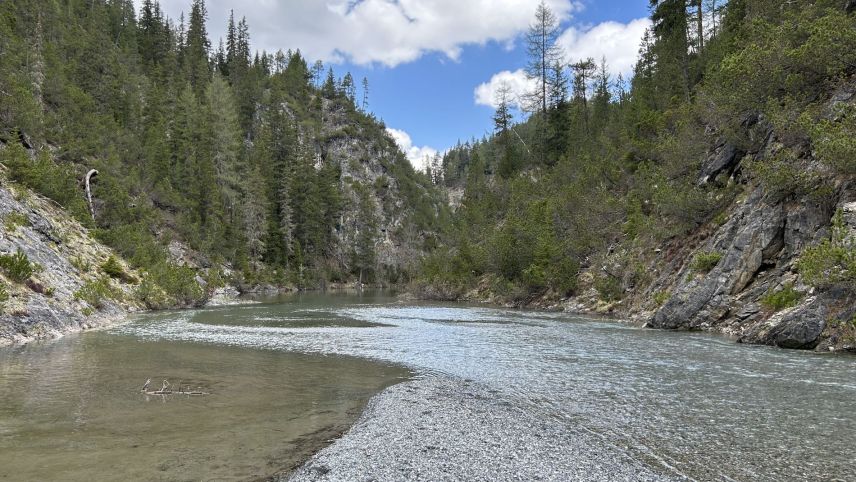 A partir da la prümavaira 2026 vain sanà il Spöl dal tössi PCB. Las lavurs preparativas sco eir la translocaziun da la populaziun da peschs i’l Spöl vegnan  però fingià realisadas a partir da quista stà (fotografia: OEE).