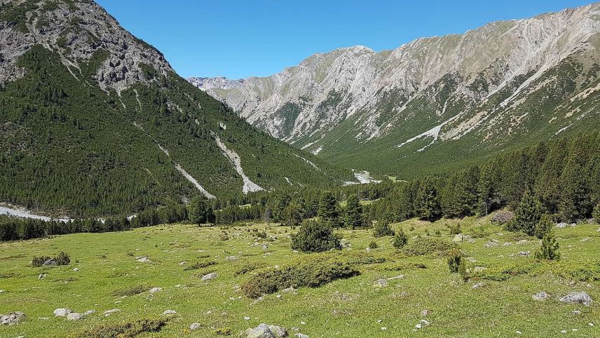 La Val Mora illa Val Müstair dess gnir laschada in poss.  fotografia: Tiziana Caratsch