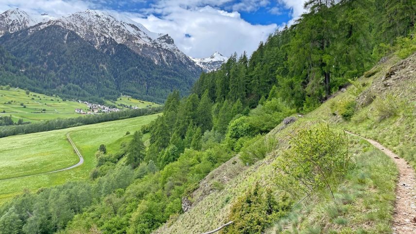 Landwirtschaft, Tourismus, Natur - Biodiversität wird im Projekt der Biosfera Val Müstair auf verschiedenen Ebenen angestrebt. Foto: Fadrina Hofmann
