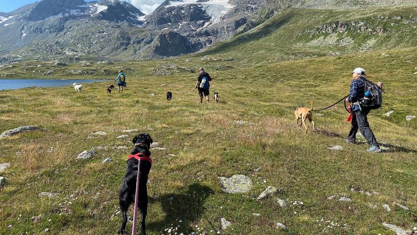 Foto: Kirstin Bollinger