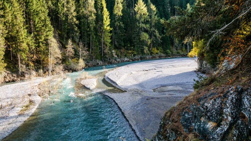 L’En, quia suot Scuol, es l’avaina da vita da flora, fauna ed eir dals umans chi vivan lung l’En. fotografia: Jon Duschletta
