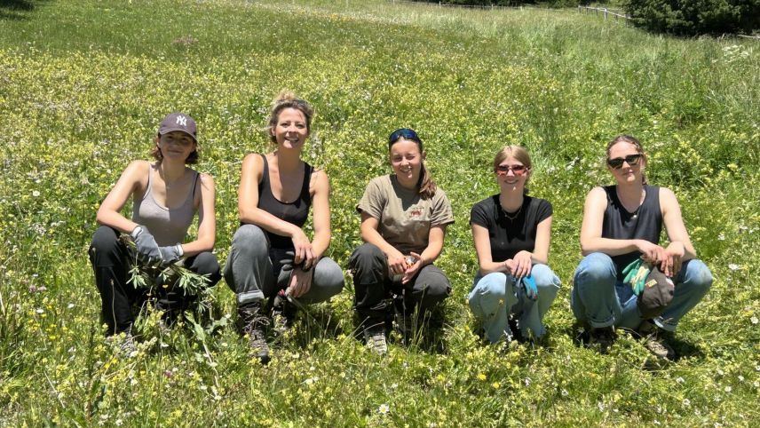 Carlotta Ganzoni, Seraina Marugg, Mia Sonder, Gianna Florineth und Gianna Giovanoli (von links) bereiten sich auf die Jagdprüfung vor. Dazu gehört auch Hegearbeit. Foto: Marcel Melcher