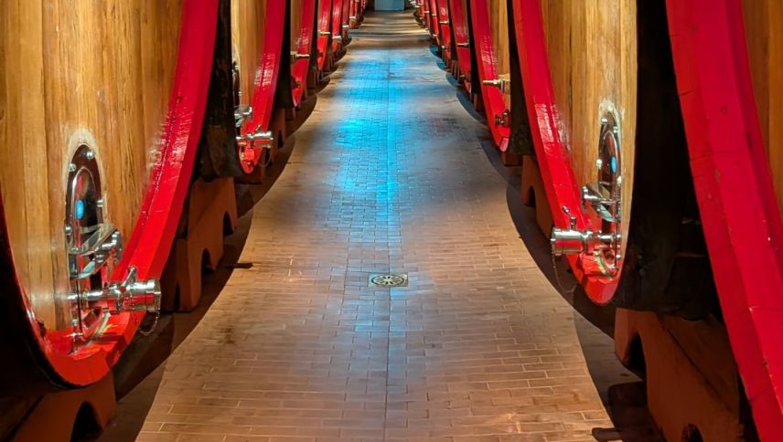 Foto: Sina Margadant