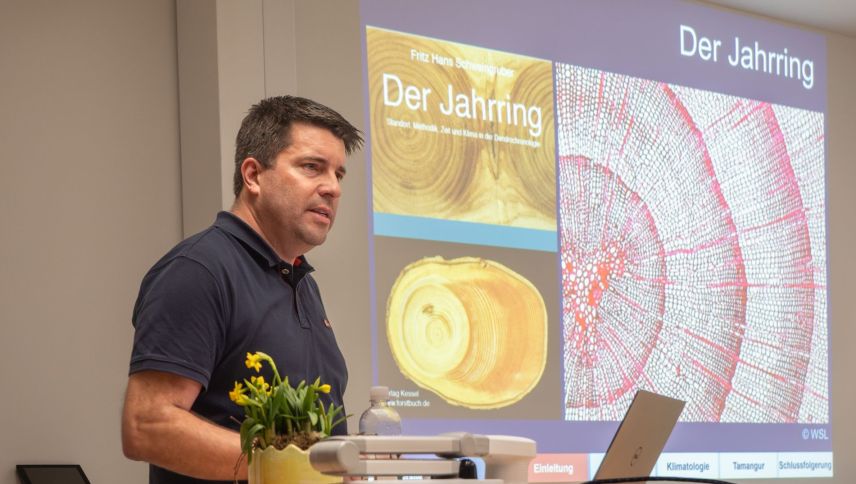 Die Jahrringe der Bäume spielten im Referat von Markus Stoffel eine zentrale Rolle. Foto: Jon Duschletta