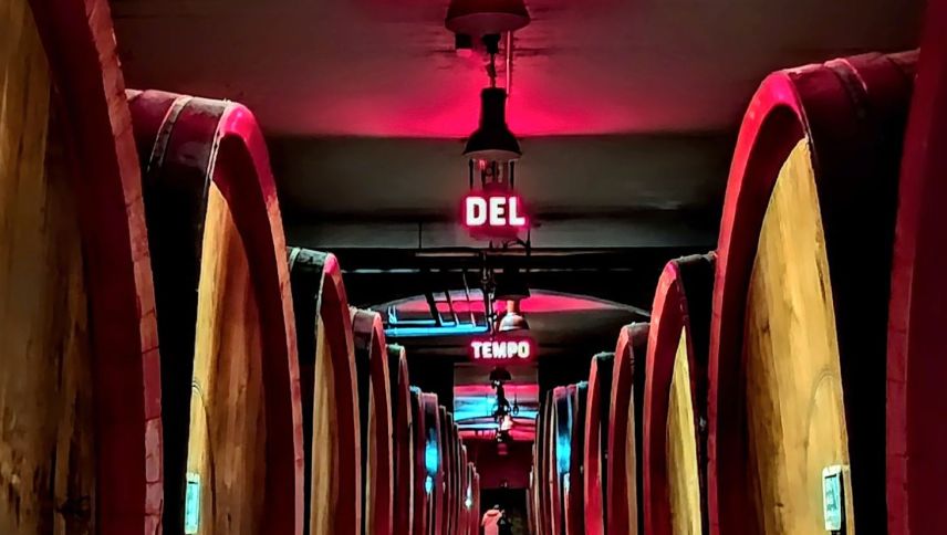 Braulio wird bis zu fünf Jahren in Holzfässern gelagert. Foto: Sina Margadant