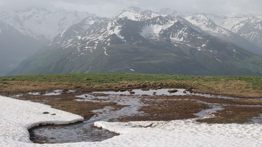 Schneeschmelze in den Bergen: Ist der Schnee weg und der Boden warm genug, treiben erste Pflanzen aus. Foto: Michael Zehnder/SLF