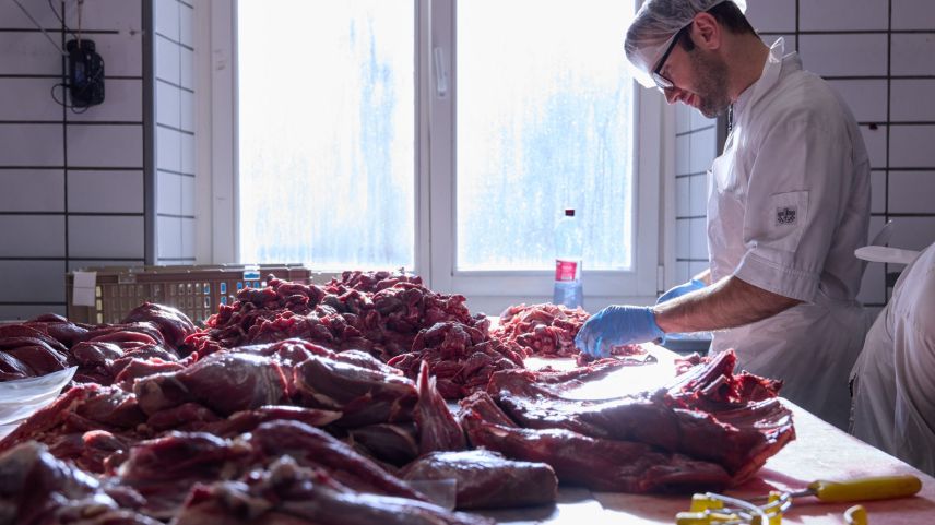 Normalmaing ingaschà in butia, dürant la chatscha in acziun eir in bacharia: Ludwig Markt güda a gnir a bröch cullas massas da charn.