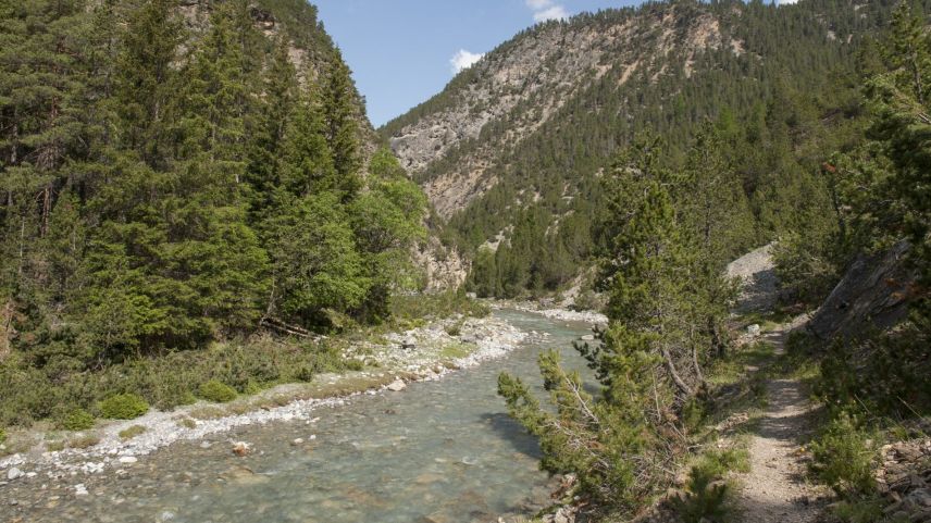 Zehn Jahre nach dem PCB-Unfall wird der Spöl ab 2026 saniert. Foto: Schweizerischer Nationalpark