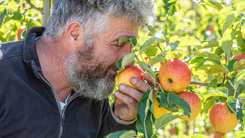Florin Pichler prüft den Reifegrad seiner Äpfel.    Foto: Daniel Zaugg