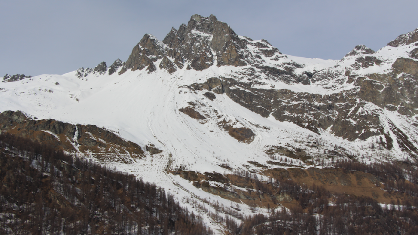 Foto: Stefanie Wick Widmer