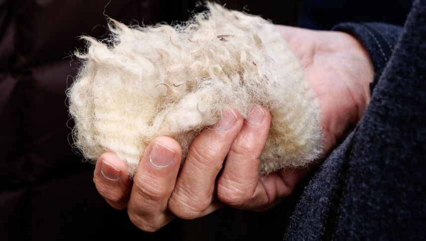 Schafwolle ist einer von verschiedenen natürlichen Rohstoffen für eine nachhaltige Textilproduktion. 