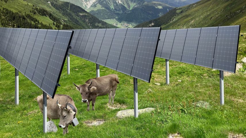 Implants solars immez la pas-chüra, sco per exaimpel a Nalps – simils progets vegnan actualmaing discutats in differentas regiuns dal Grischun (Visualisaziun: Axpo).