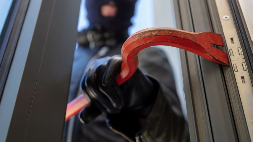 Den grössten Anteil der Vermögensstraftaten machen 2024 Fahrzeugdiebstähle und die Diebstähle aus. Foto: shutterstock_rawf8