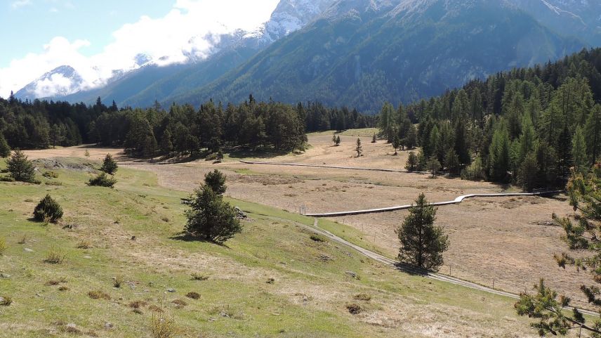Cun punts da lain vegnan schaniadas palüds preziusas dal Lai Nair sur Tarasp (fotografia: Benedict Stecher).