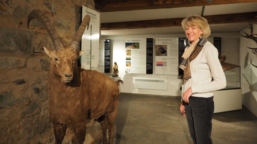 Annemarie Brülisauer vor einem Prunkstück im Museum Alpin, dem viel beachteten Steinbock.